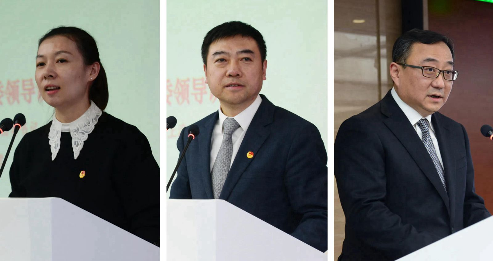 上实集团副董事长,上海医药集团党委书记,副董事长葛大维回顾了上实